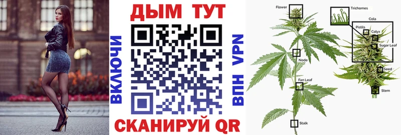 Бошки марихуана White Widow наркошоп Домодедово